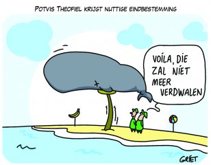 potvis