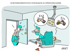 Cartoons 2006