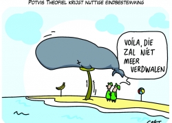potvis