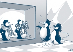 pinguin